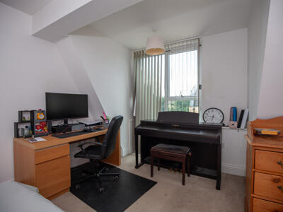 Picture 14
